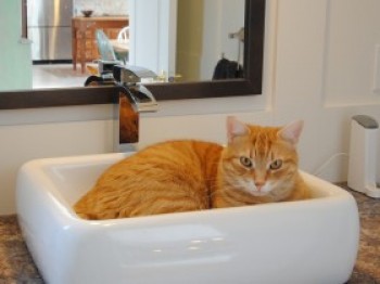 photo_conseils_photo